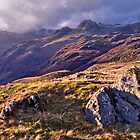 Langdale Light, Great Langdale - The Lake District by Dave Lawrance