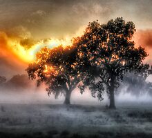 Morning Embers- Jingellic NSW - The HDR Experience by Philip Johnson
