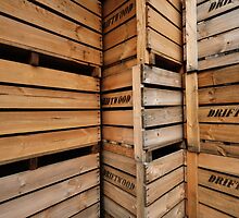 bins by themselves by metriognome