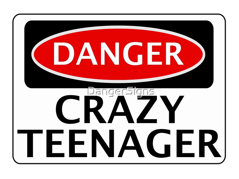 "DANGER CRAZY TEENAGER FAKE FUNNY SAFETY SIGN SIGNAGE" Posters by