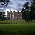 Raby Castle Trees View by Andrew Pounder