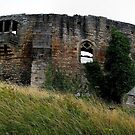 Barnard Castle Panoramic by Andrew Pounder