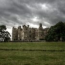Raby Castle by Andrew Pounder