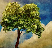 Pause For Thought 2 by Christine Lake