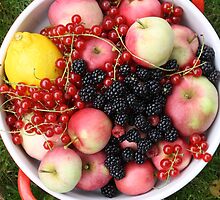 Fruit + Berries by decorartuk