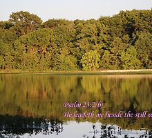 Psalm 23:2 He Leadeth Me Beside the Still Waters by aprilann