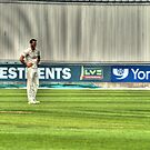 Cricketer by Andrew Pounder