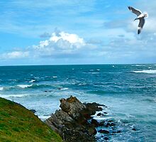 The Pacific by David Denny