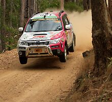 A Forester In The Forest by Noel Elliot