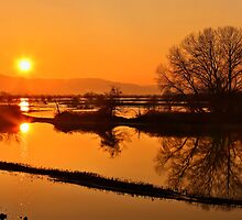 Sunset @ Lake Kerkini by Hercules Milas