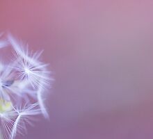 Virtuous by Josie Eldred