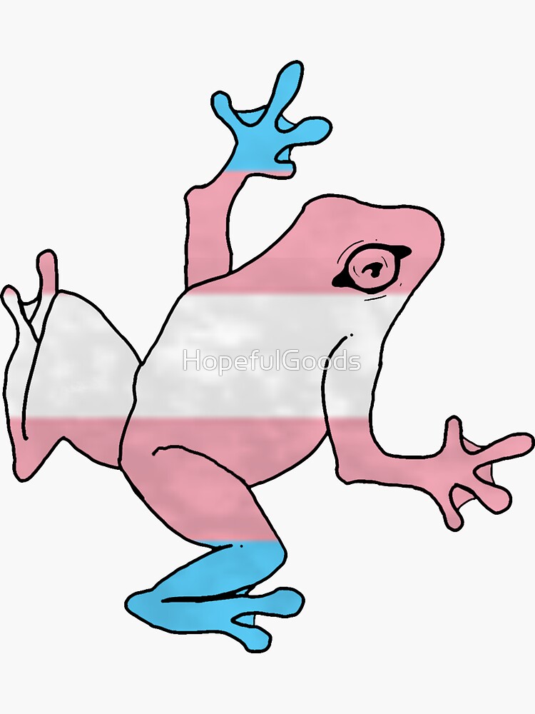 Transgender Pride Flag Frog Sticker For Sale By HopefulGoods Redbubble