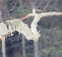 Proverbs 19:21 by ataylor45