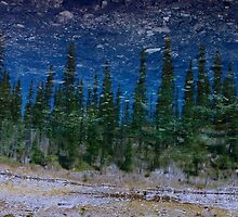Other Worldly Reflection by ldredge