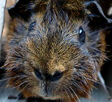 Whatcha Doin'? by Jess Meacham