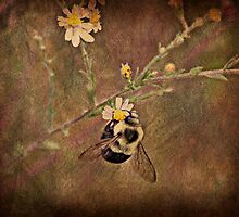 Bee by Ginger Barritt