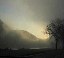 The sun wins by gemeenie