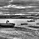 Dakota by Andrew Pounder