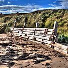 Beach Defence #2 by Andrew Pounder