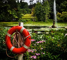 Life Saver by Ashley Hirst