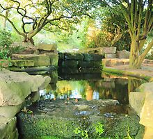 Hidden treasure under Cabot tower Bristol by Arvind Singh