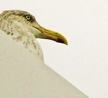 Who Are You, And Where Is My Handout? by artwhiz47