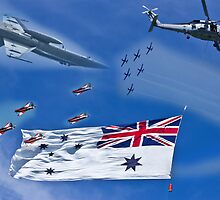Aircraft from Sydney Navy Review by miroslava