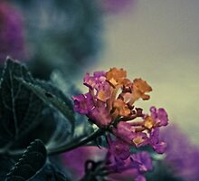 Trust your own instinct. Your mistakes might as well be your own, instead of someone else's. Billy Wilder ... by Kornrawiee