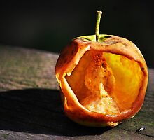 Apple hollowed out by insects... by Laurie Minor