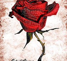 My love is like a red, red rose by stevemac66