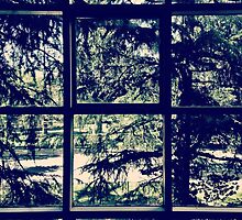 Behind Bars by omhafez