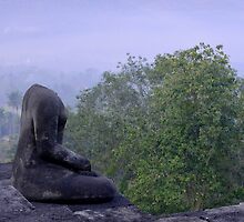Contemplation by Brian Bo Mei