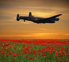 Across The Fields by Dave Godden