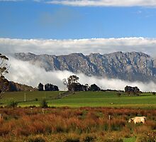 Waking up to Mount Roland by tinnieopener