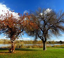 Loosing Their Finery, Marsing Idaho by trueblvr