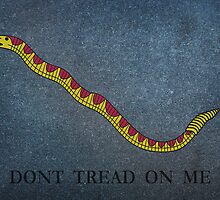 Navy Jack Snake - Dont Tread on Me by Charles McFarlane