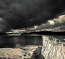 Stormy Lake (duotone) by graphicscapes
