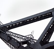 Third Street Bridge and Seagull by studiojanney