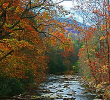 AUTUMN ON LITTLE RIVER by Chuck Wickham