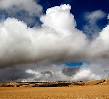 Australian Farmland Landscape by jwwallace