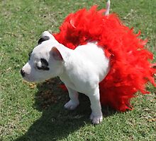 I can wear a TuTu if I want to! by Staffaholic