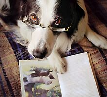 Once Upon A Time... by meg price