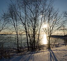 Long Shadows in the Snow by Georgia Mizuleva