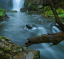 'White Coal': Guide Falls, near Burnie, north-western Tasmania by Nic Haygarth