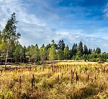 Moorlands in Germany’s southern Black Forest by Bernd F. Laeschke