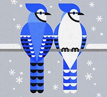 J is for Jay 2 by Scott Partridge