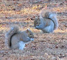 We've Got The Munchies ~ by Ginny York