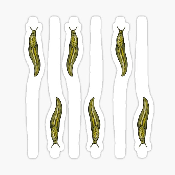 Limax Slug Pattern Yellow Sticker For Sale By UroliteArt Redbubble