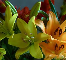 A Time Of Caring And Sharing .... by Sharon House
