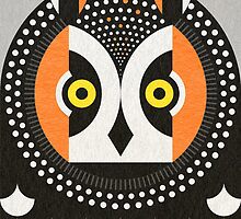 long eared owl by Scott Partridge